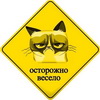 Аватара пользователя
