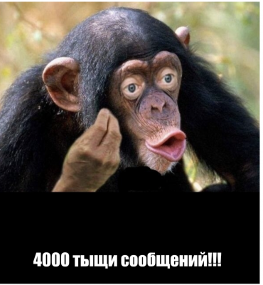 Screenshot_20250215-001029.png