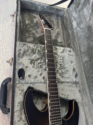photo_7_2026-02-19_15-00-51.jpg